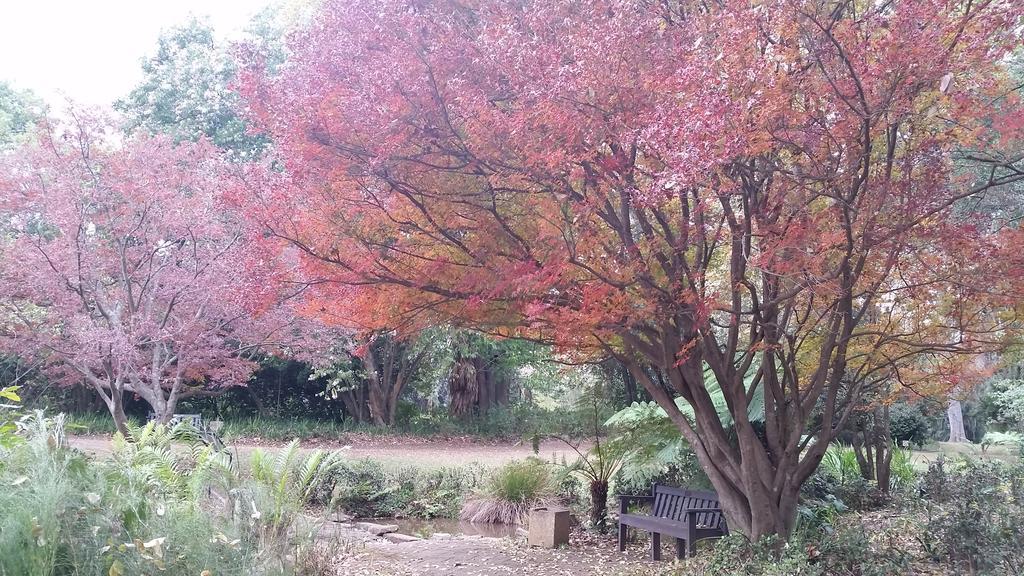 Babbling Brook Bed & Breakfast Pietermaritzburg Exteriér fotografie