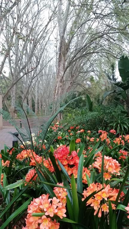 Babbling Brook Bed & Breakfast Pietermaritzburg Exteriér fotografie