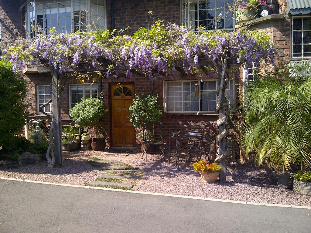 Babbling Brook Bed & Breakfast Pietermaritzburg Exteriér fotografie