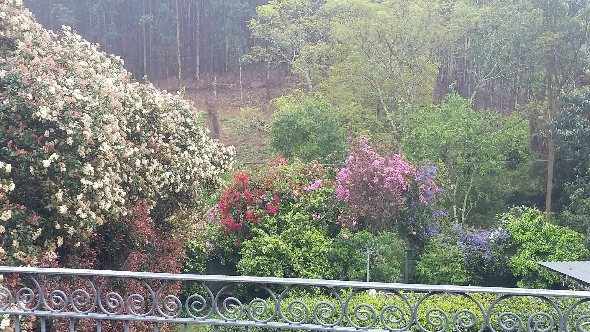 Babbling Brook Bed & Breakfast Pietermaritzburg Exteriér fotografie